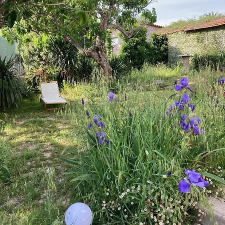 Holiday home Les Figuiers *